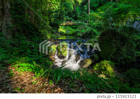 白糸の滝　渓流風景　「数十万年前の火山岩からなる美しい白糸の滝(別名「寄姫の滝」)」　阿蘇郡西原村 115923121