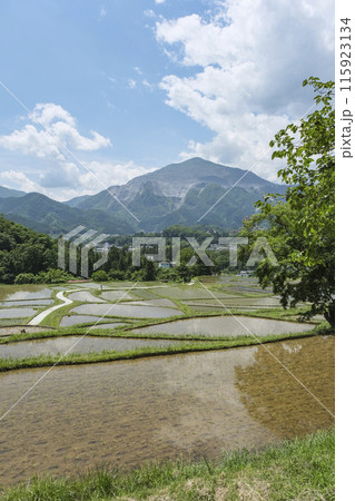 埼玉県内最大級の棚田である寺坂棚田 115923134