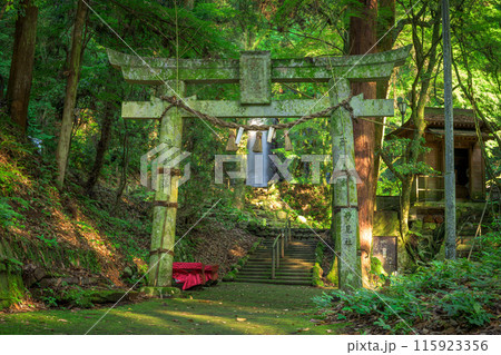 白糸の滝 鳥居と新緑 「数十万年前の火山岩からなる美しい白糸の滝(別名「寄姫の滝」)」 阿蘇郡西原村 白糸の滝 鳥居と新緑 「数十万年前の火山岩からなる美しい白糸の滝(別名「寄姫の滝」)」 阿蘇郡西原村 115923356