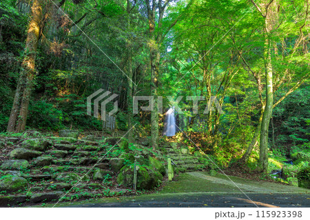 白糸の滝　風景　「数十万年前の火山岩からなる美しい白糸の滝(別名「寄姫の滝」)」　阿蘇郡西原村 115923398