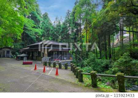 白糸の滝　周辺風景　「数十万年前の火山岩からなる美しい白糸の滝(別名「寄姫の滝」)」　阿蘇郡西原村 115923433
