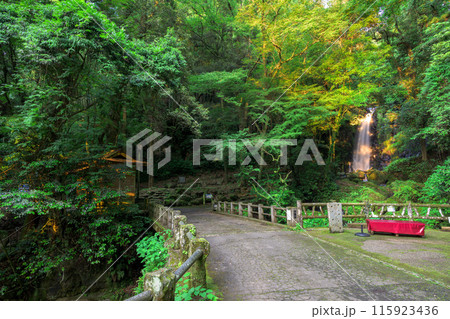 白糸の滝 周辺風景 「数十万年前の火山岩からなる美しい白糸の滝(別名「寄姫の滝」)」 阿蘇郡西原村 白糸の滝 周辺風景 「数十万年前の火山岩からなる美しい白糸の滝(別名「寄姫の滝」)」 阿蘇郡西原村 115923436