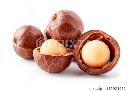 Close-up of shelled and unshelled Macadamia nuts isolated on a white background, showcasing their texture 115923451