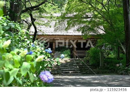 阿弥陀寺 115923456