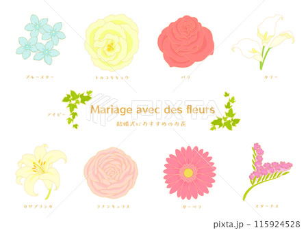 結婚式におすすめの花　イラストセット 115924528