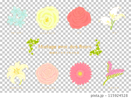 結婚式におすすめの花　イラストセット 115924528