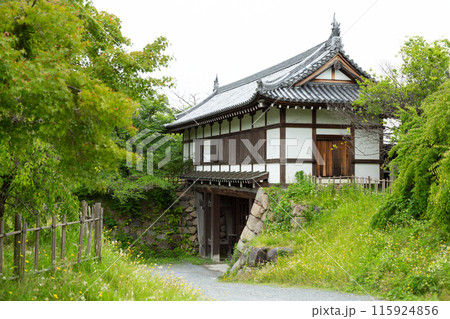 奈良県・大和郡山市の郡山城跡 115924856
