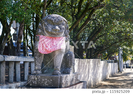 日本武尊が白鳥になって舞い降りた白鳥神社の拝殿へ至る道（香川県東かがわ市） 115925209