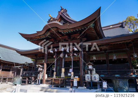 日本武尊が白鳥になって舞い降りた白鳥神社の拝殿へ至る道(香川県東かがわ市) 日本武尊が白鳥になって舞い降りた白鳥神社の拝殿へ至る道(香川県東かがわ市) 115925216
