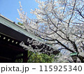 桜に囲まれた靖国神社 115925340