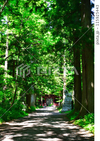 戸隠神社　奥社　隨神門 115925443