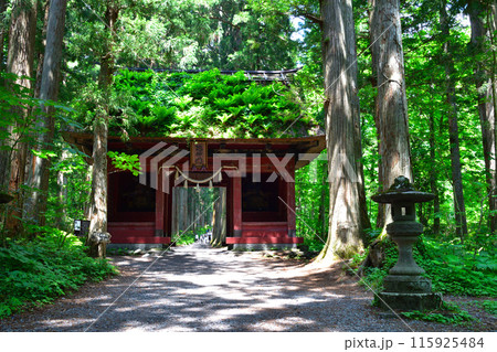 戸隠神社　奥社　隨神門 115925484