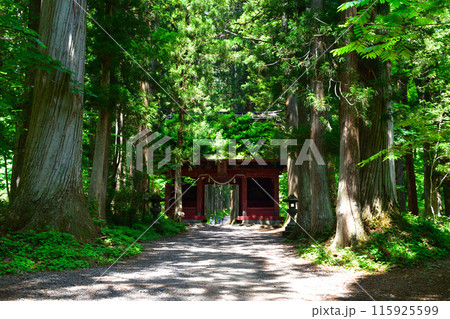 戸隠神社　奥社　隨神門 115925599