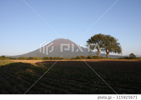 羊蹄山 羊蹄山 115925671