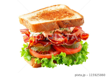 Delightful sandwich with fresh vegetables, meat and whole grain bread, perfect for a healthy meal 115925860