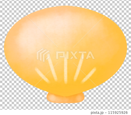黃色貝殼插畫 黃色貝殼插畫 115925926