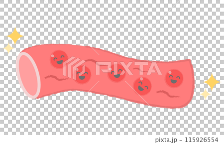 Beautiful blood vessels, smooth blood 115926554