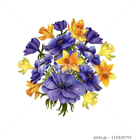 Watercolor floral illustration . Floral composition from flowers anemones and daffodils 115926755