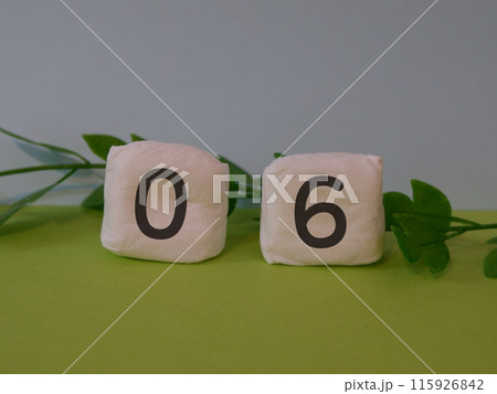 06のアイキャッチ画像 115926842