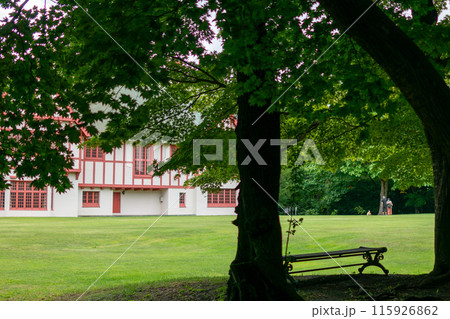 緑に囲まれた公園 緑に囲まれた公園 115926862