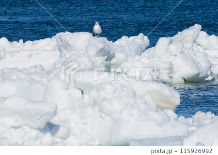 冬の野付半島の流氷 115926992