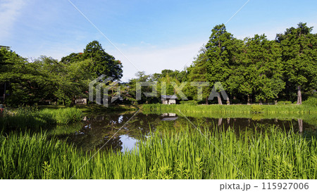 神奈川県横浜市金沢区称名寺・稱名寺の初夏 神奈川県横浜市金沢区称名寺・稱名寺の初夏 115927006