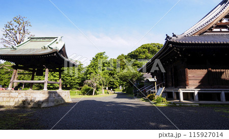 神奈川県横浜市金沢区称名寺・稱名寺の初夏 神奈川県横浜市金沢区称名寺・稱名寺の初夏 115927014