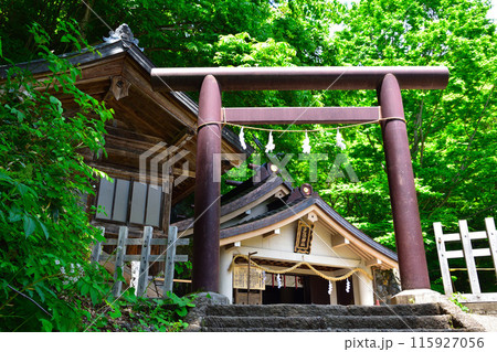 戸隠神社 奥社 社殿 戸隠神社 奥社 社殿 115927056