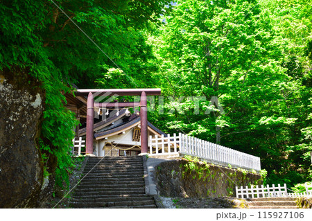 戸隠神社 奥社 社殿 戸隠神社 奥社 社殿 115927106
