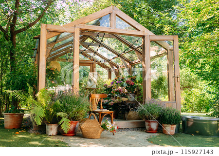 Wood and glass greenhouse, plants and nature with home gardening. Flowers and greens, with botanical or agriculture in the garden. exterior 115927143