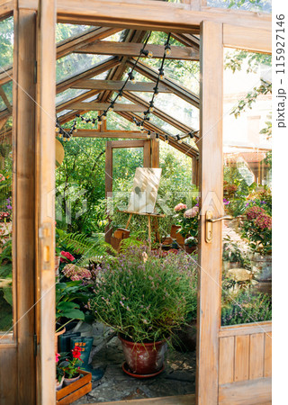 Wood and glass greenhouse, plants and nature with home gardening. Flowers and greens, with botanical or agriculture in the garden. exterior Wood and glass greenhouse, plants and nature with home gardening. Flowers and greens, with botanical or agriculture in the garden. exterior 115927146