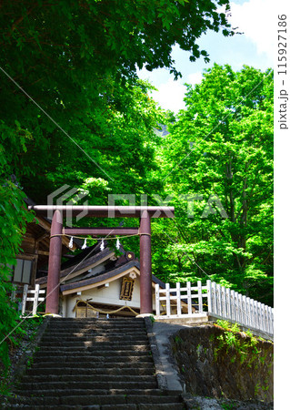 戸隠神社 奥社 社殿 戸隠神社 奥社 社殿 115927186