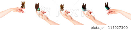 butterfly on woman's hand. In motion 115927300