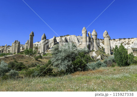 ラブ・バレーの妖精の煙突 ラブ・バレーの妖精の煙突 115927338