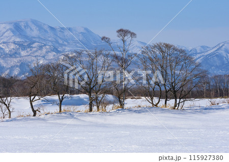 冬の雪山風景 冬の雪山風景 115927380