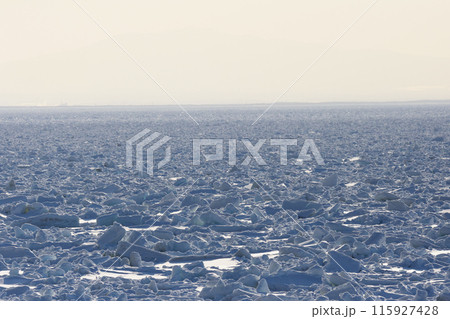 海岸を埋めつくす流氷 海岸を埋めつくす流氷 115927428