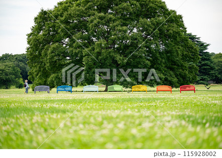 気持ちのいいベンチ 115928002