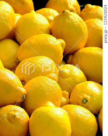 Lemon Lemon 115928024