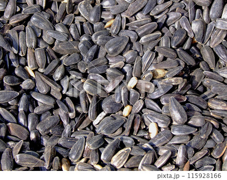Sunflower seeds 115928166