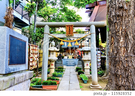 【東京】初夏の高円寺氷川神社　境内の気象神社 115928352
