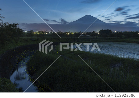御殿場市　ゲンジボタルと富士山 115928386