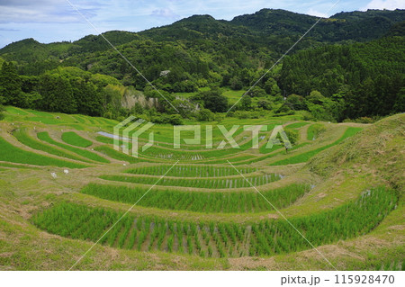 棚田のある風景 棚田のある風景 115928470