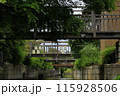 十二橋 115928506