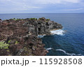 城ヶ崎海岸 115928508