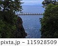 門脇つり橋 115928509