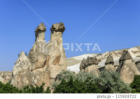 パシャバー・バレーの妖精の煙突 115928722