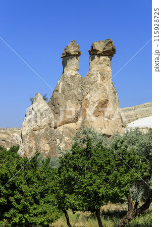 パシャバー・バレーの妖精の煙突 115928725