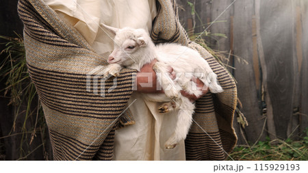 Shepherd with a sheep in his arms 115929193