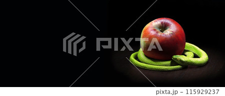 The snake lies near the apple 115929237