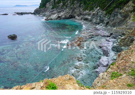 佐田岬半島の先の方で、青い海岸 佐田岬半島の先の方で、青い海岸 115929310